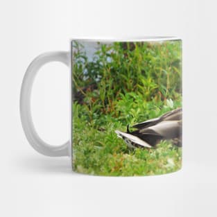 A Duck Resting In The Grass Mug